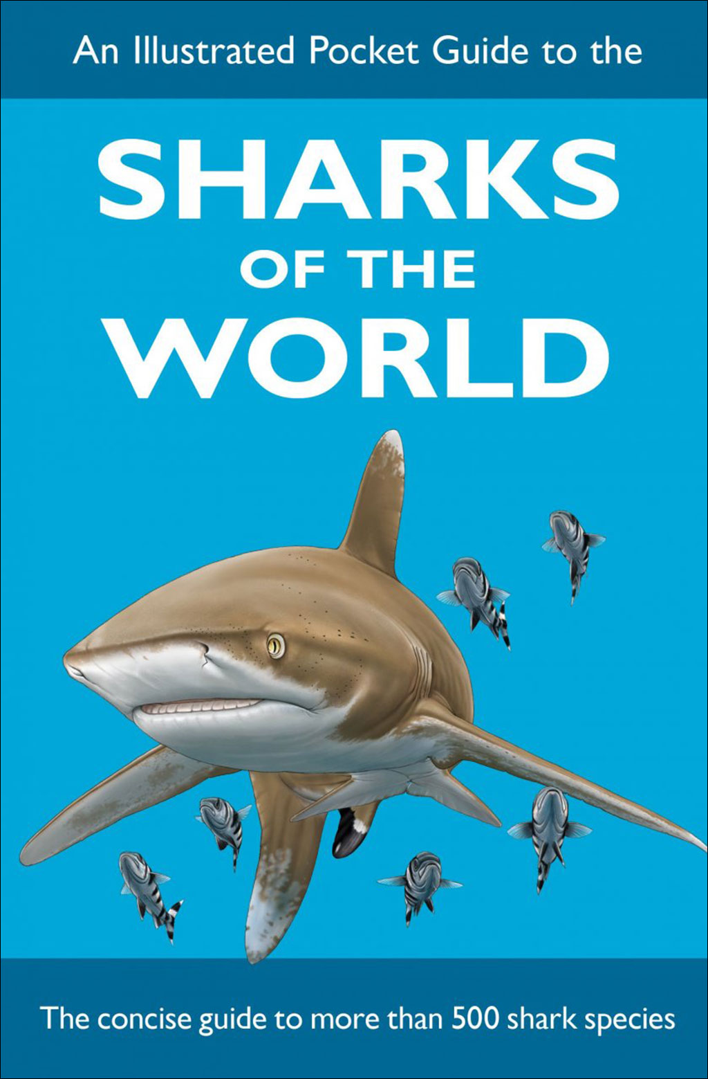 AN ILLUSTRATED POCKET GUIDE TO THE SHARKS OF THE WORLD. THE CONCISE GUIDE TO MORE THAN 500 SHARK SPECIES