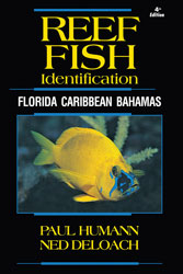 REEF FISH IDENTIFICATION. FLORIDA CARIBBEAN BAHAMAS. 4TH ED. 1