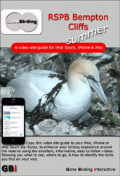 RSPB BEMPTON CLIFFS. SUMMER. A VIDEO SITE GUIDE FOR IPHONE, IPAD & IPOD TOUCH 1