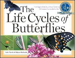 THE LIFE CYCLES OF BUTTERFLIES. FROM EGG TO MATURITY, A VISUAL GUIDE TO 23 COMMON GARDEN BUTTERFLIES