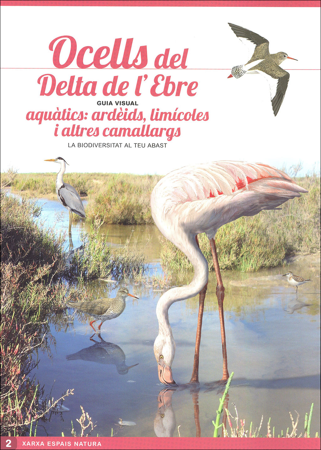OCELLS DEL DELTA DE L'EBRE. GUIA VISUAL (SIS DESPLEGABLES DE DIFERENT TEMÀTICA) 2