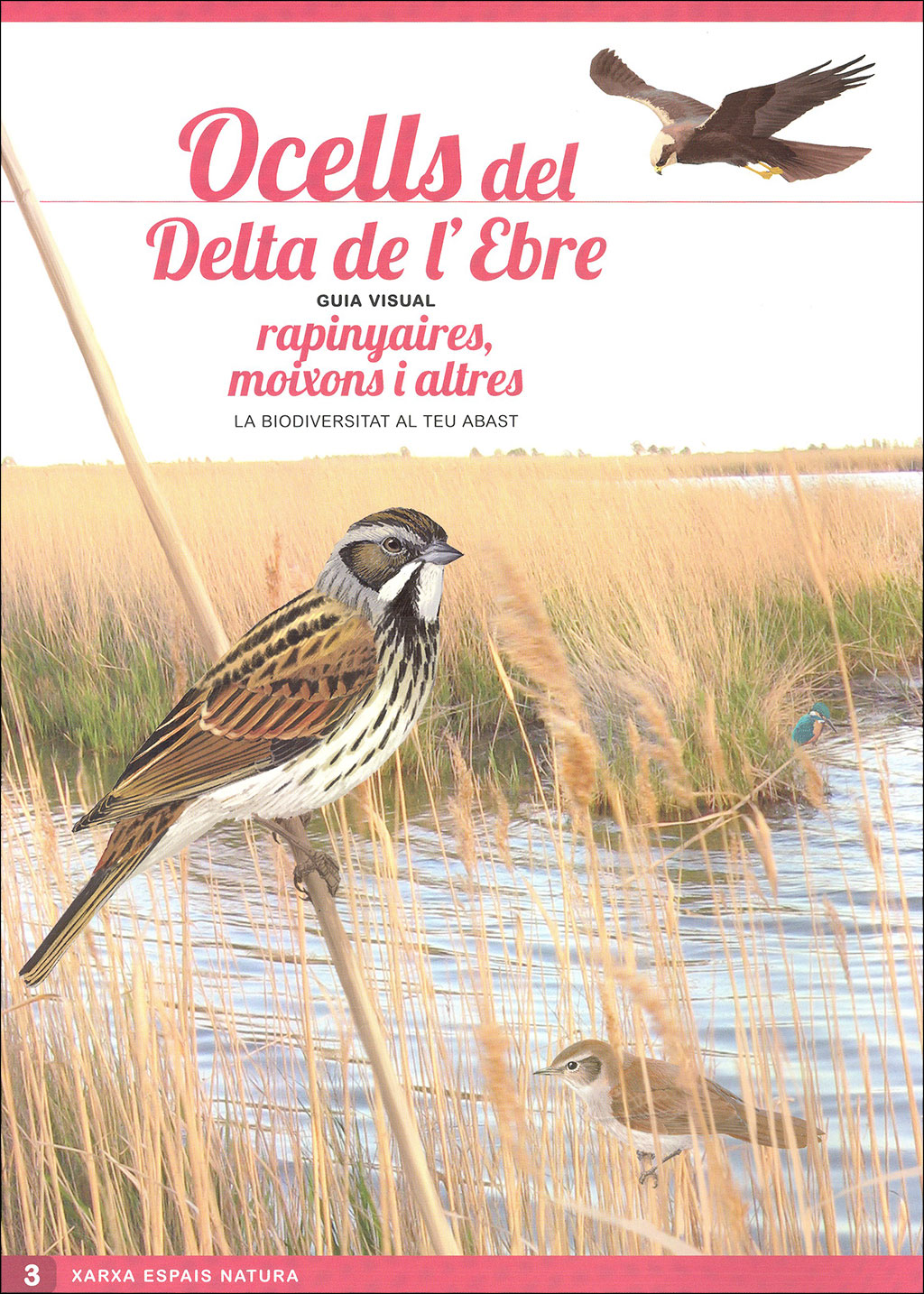 OCELLS DEL DELTA DE L'EBRE. GUIA VISUAL (SIS DESPLEGABLES DE DIFERENT TEMÀTICA) 3