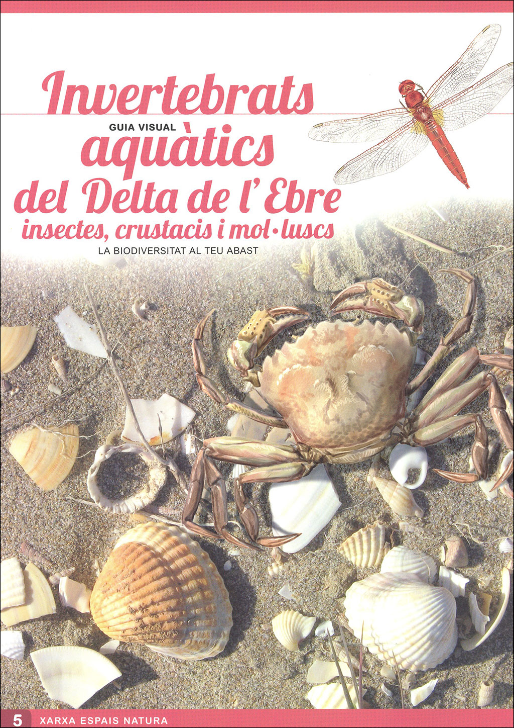 OCELLS DEL DELTA DE L'EBRE. GUIA VISUAL (SIS DESPLEGABLES DE DIFERENT TEMÀTICA) 5