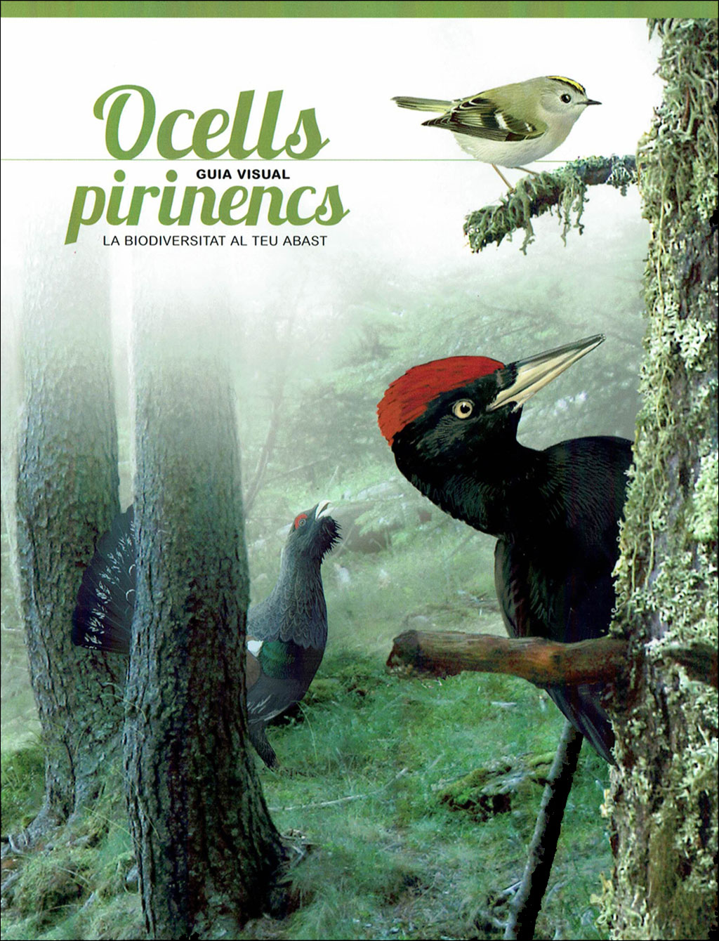 PIRINENCS. 6 GUIES VISUALS DE FLORA I FAUNA 1