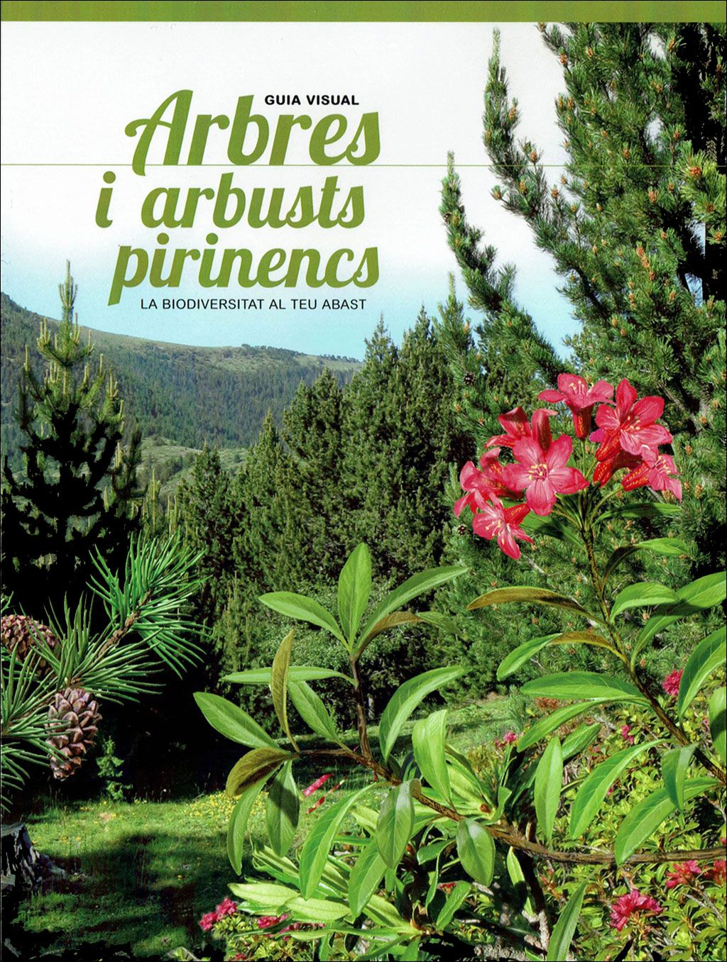 PIRINENCS. 6 GUIES VISUALS DE FLORA I FAUNA 2