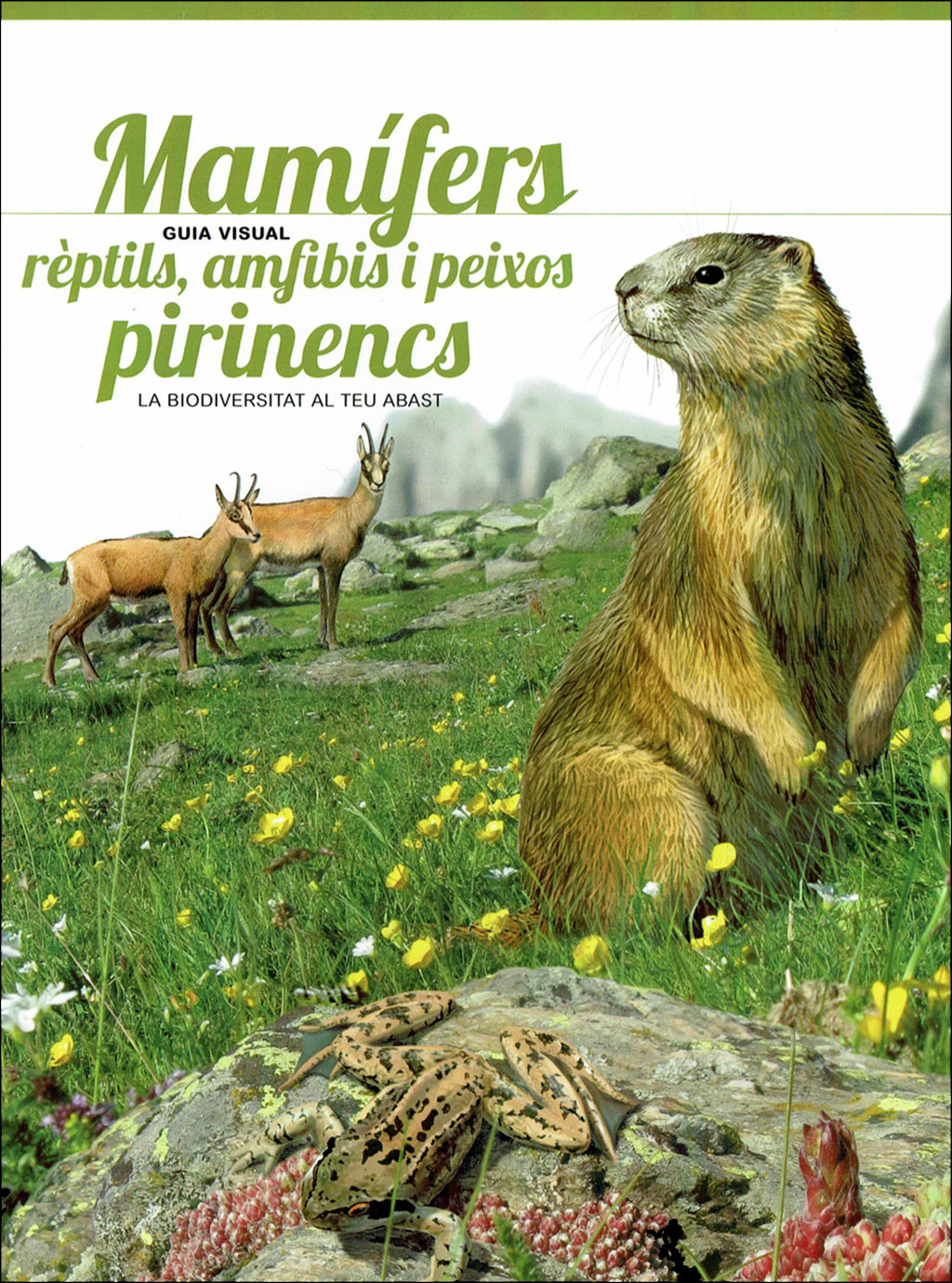 PIRINENCS. 6 GUIES VISUALS DE FLORA I FAUNA 3