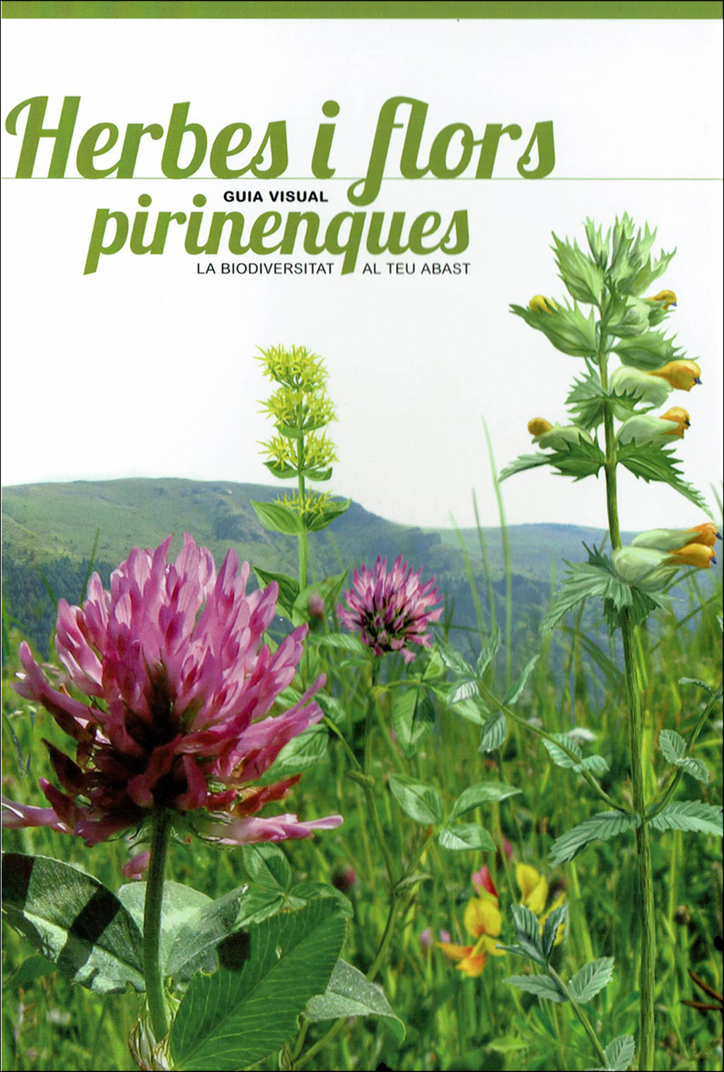 PIRINENCS. 6 GUIES VISUALS DE FLORA I FAUNA 4