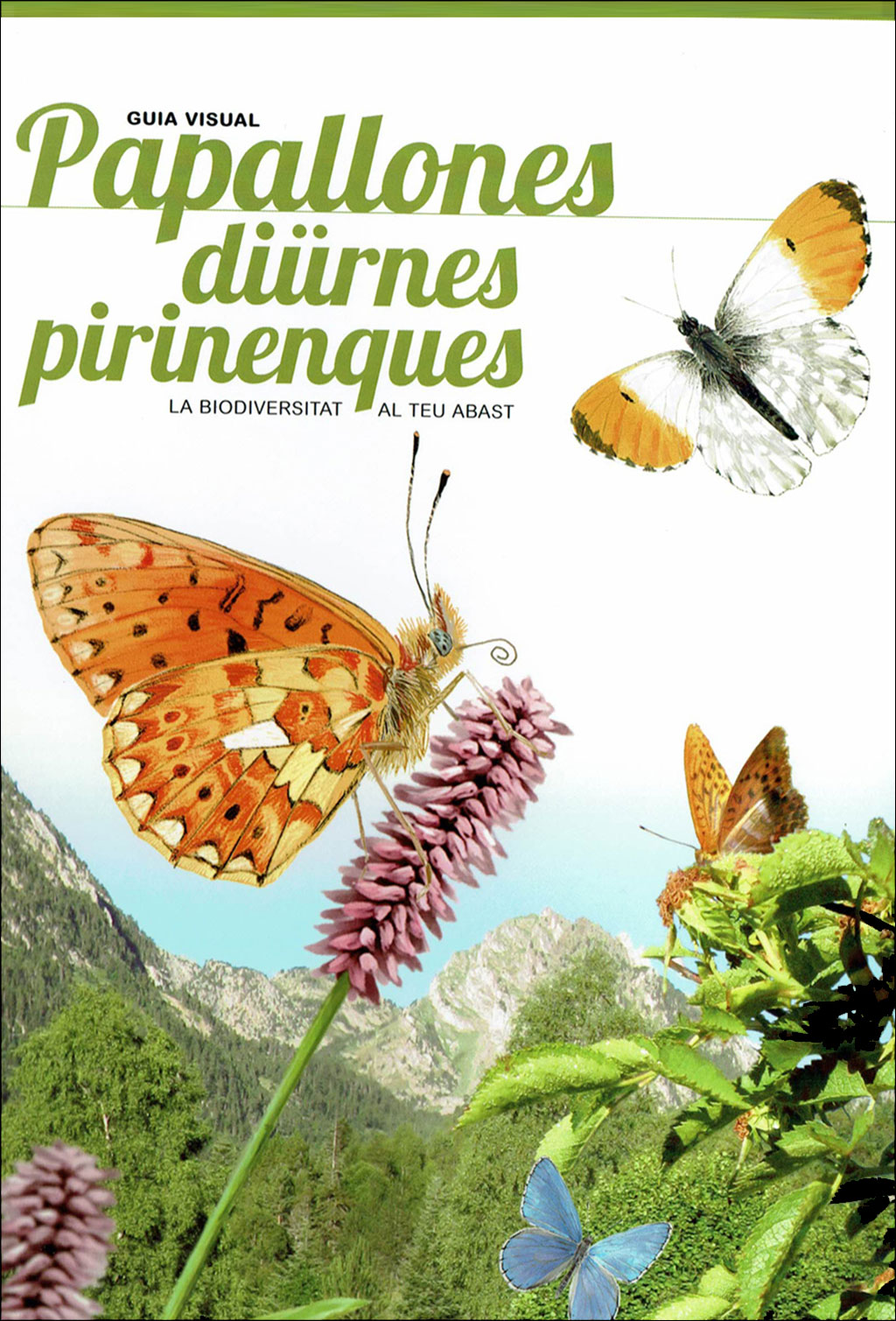 PIRINENCS. 6 GUIES VISUALS DE FLORA I FAUNA 5