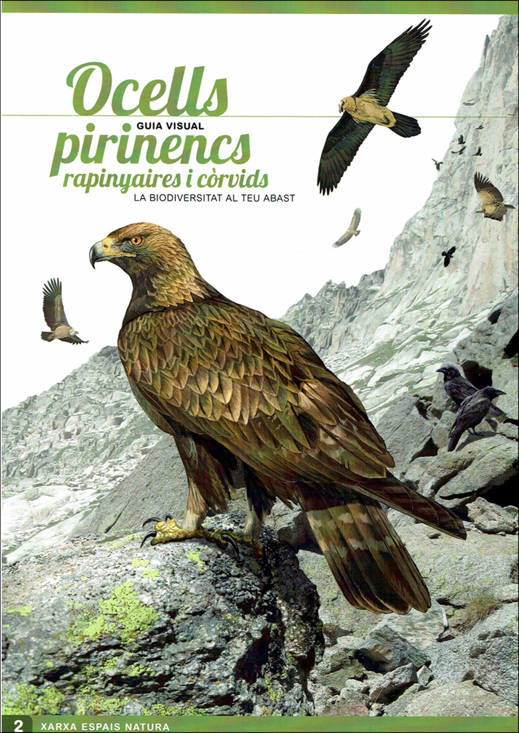 PIRINENCS. 6 GUIES VISUALS DE FLORA I FAUNA 6