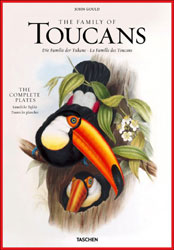 THE FAMILY OF TOUCANS. THE COMPLETE PLATES 1