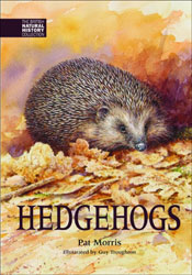 HEDGEHOGS 1