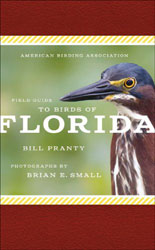 THE AMERICAN BIRDING ASSOCIATION FIELD GUIDE TO BIRDS OF FLORIDA 1