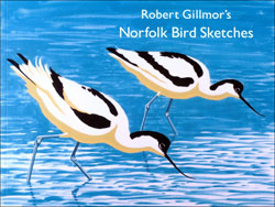 ROBERT GILLMOR'S NORFOLK BIRD SKETCHES 1