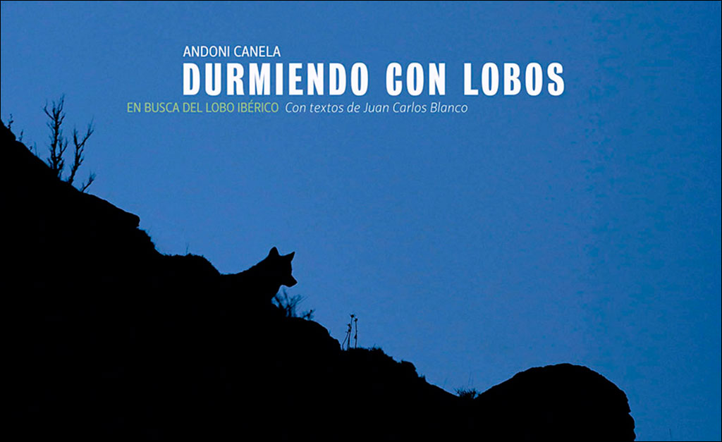 DURMIENDO CON LOBOS. EN BUSCA DEL LOBO IBÉRICO 1