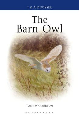 THE BARN OWL 1