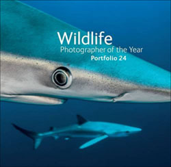WILDLIFE PHOTOGRAPHER OF THE YEAR. PORTFOLIO 24 1