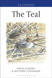 THE TEAL 1