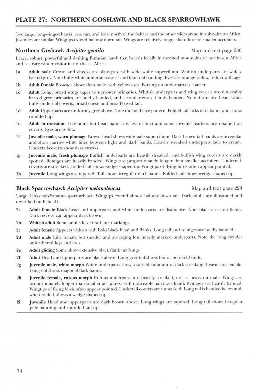 HELM IDENTIFICATION GUIDES. AFRICAN RAPTORS 2