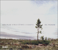 LES PLUS VIEUX ETRES VIVANTS DU MONDE
