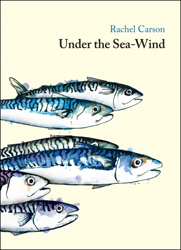 UNDER THE SEA-WIND 1
