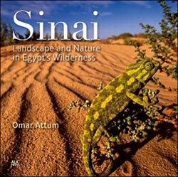 SINAI LANDSCAPE AND NATURE IN EGYPT'S WILDERNESS 1