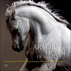 THE ARABIAN HORSE OF EGYPT 1