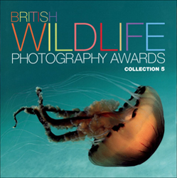 BRITISH WILDLIFE PHOTOGRAPHY AWARDS. COLLECTION 5 1