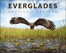 EVERGLADES. AMERICA'S WETLAND