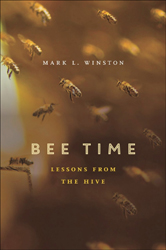 BEE TIME. LESSONS FROM THE HIVE 1
