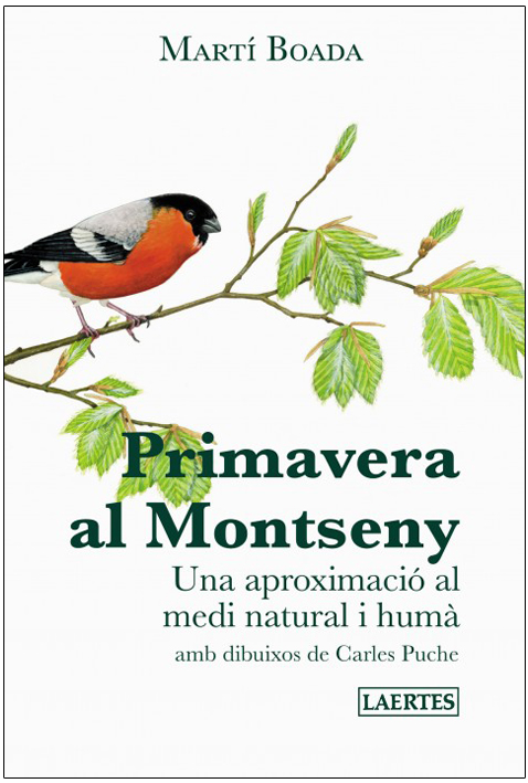 PRIMAVERA AL MONTSENY 1