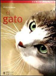 EL GATO 1