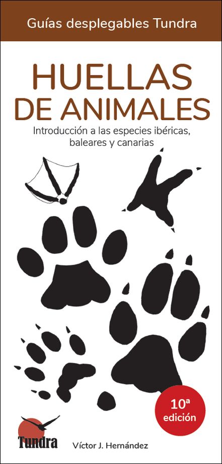 HUELLAS DE ANIMALES. INTRODUCCIÓN A LAS ESPECIES IBÉRICAS, BALEARES Y CANARIAS. GUÍAS DESPLEGABLES TUNDRA 1