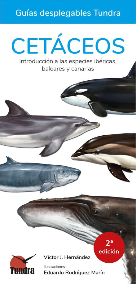 CETÁCEOS. INTRODUCCIÓN A LAS ESPECIES IBÉRICAS, BALEARES Y CANARIAS. GUÍAS DESPLEGABLES TUNDRA 1