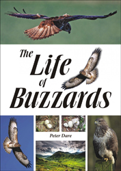 THE LIFE OF BUZZARDS 1
