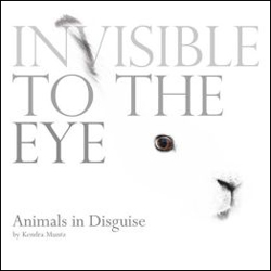 INVISIBLE TO THE EYE. ANIMALS IN DISGUISE 1