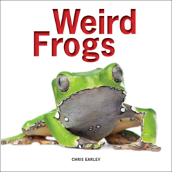 WEIRD FROGS