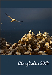 GLANZLICHTER 2014 1