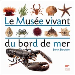 LE MUSÉE VIVANT DU BORD DE MER 1