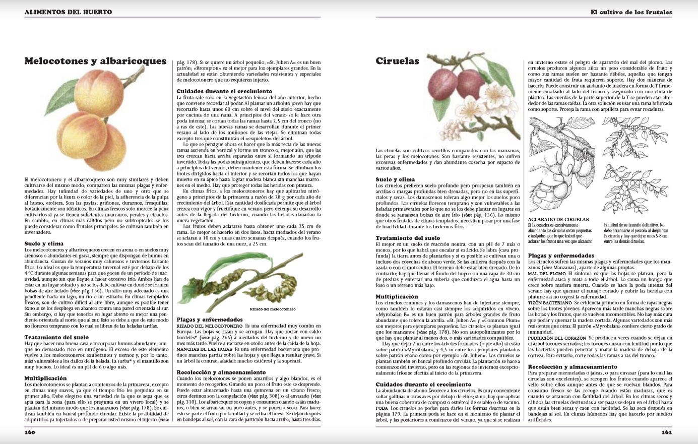 GUÍA PRÁCTICA ILUSTRADA EL HORTICULTOR AUTOSUFICIENTE Y LA VIDA EN EL CAMPO 3