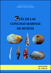 GUÍA DE LAS CONCHAS MARINAS DE HUELVA 1