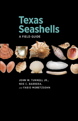 TEXAS SEASHELLS. A FIELD GUIDE
