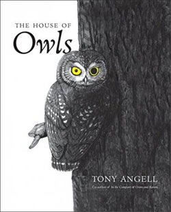 THE HOUSE OF OWLS 1
