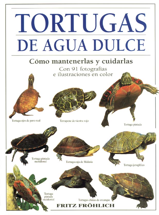 TORTUGAS DE AGUA DULCE. CÓMO MANTENERLAS Y CUIDARLAS 1