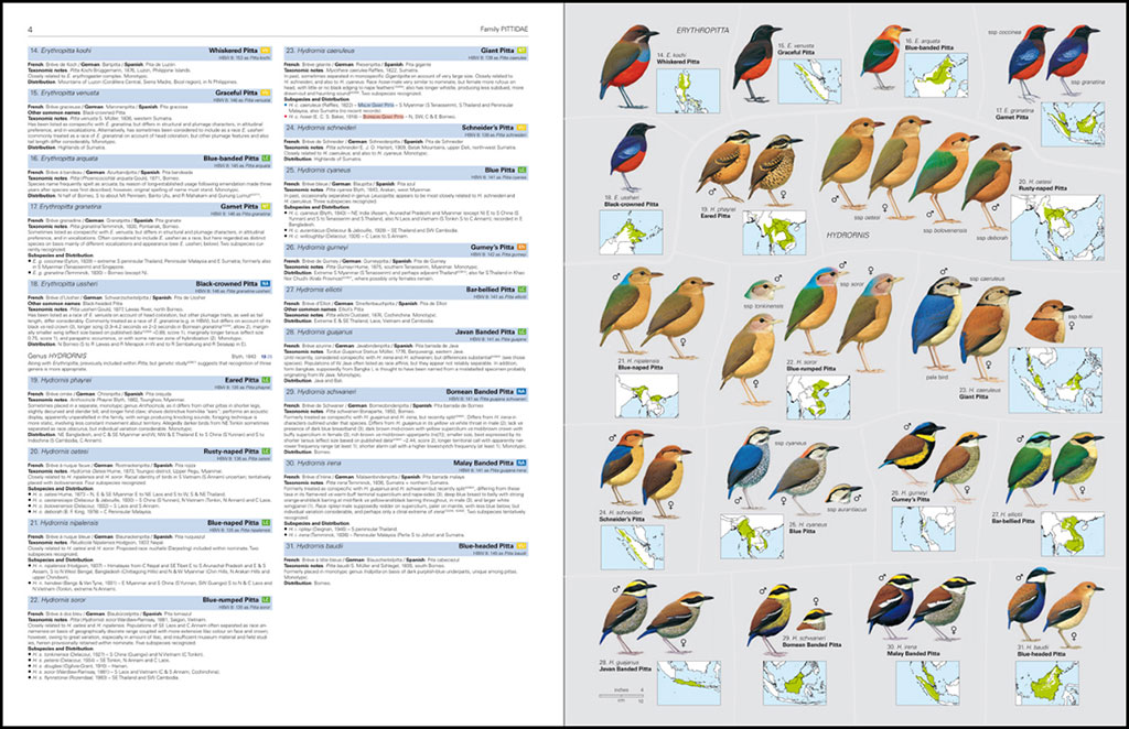 HBW AND BIRDLIFE INTERNATIONAL ILLUSTRATED CHECKLIST OF THE BIRDS OF THE WORLD. VOL. 2 3