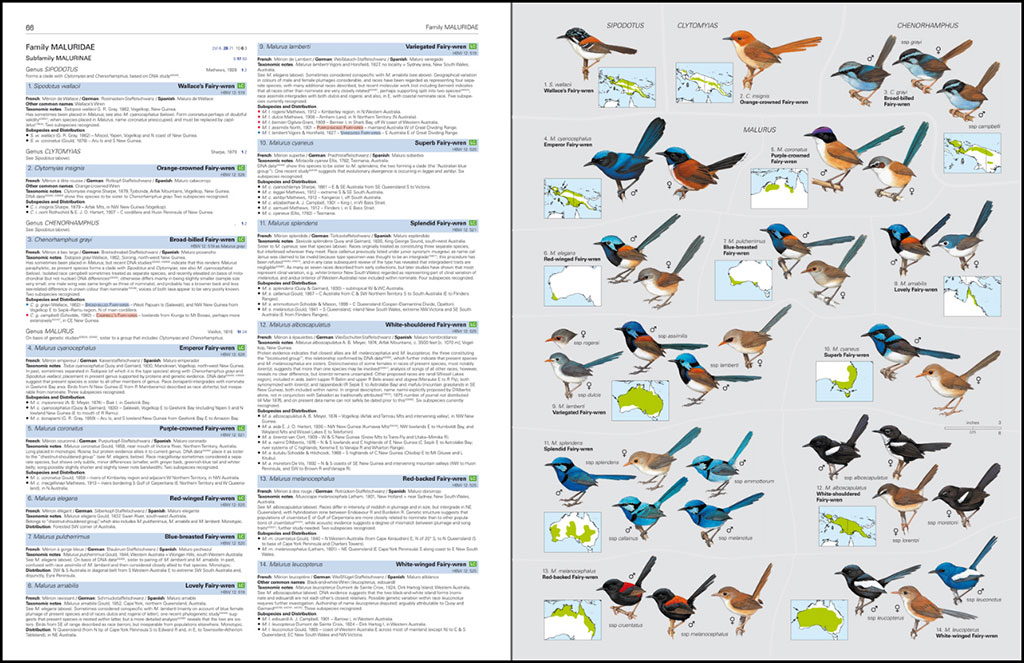 HBW AND BIRDLIFE INTERNATIONAL ILLUSTRATED CHECKLIST OF THE BIRDS OF THE WORLD. VOL. 2 4