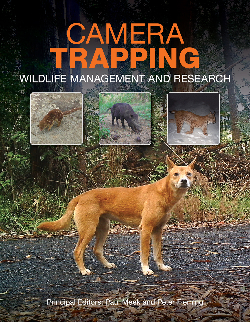 CAMERA TRAPPING. WILDLIFE MANAGEMENT AND RESEARCH 1