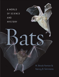 BATS. A WORLD OF SCIENCE AND MYSTERY 1