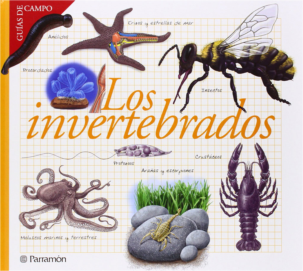 LOS INVERTEBRADOS. GUÍAS DE CAMPO 1