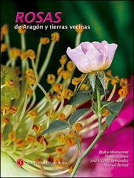 ROSAS DE ARAGÓN Y TIERRAS VECINAS 2