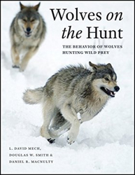 WOLVES ON THE HUNT: THE BEHAVIOR OF WOLVES HUNTING WILD PREY 1